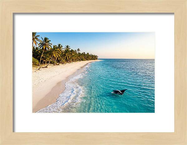 Tofo Beach Serenity