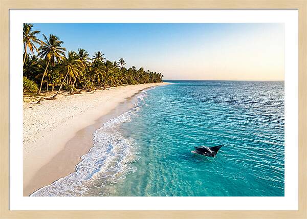 Tofo Beach Serenity
