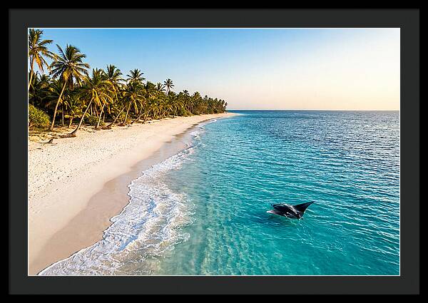 Tofo Beach Serenity