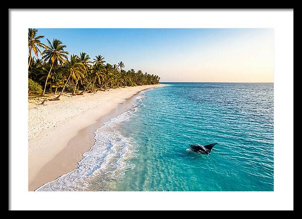 Tofo Beach Serenity