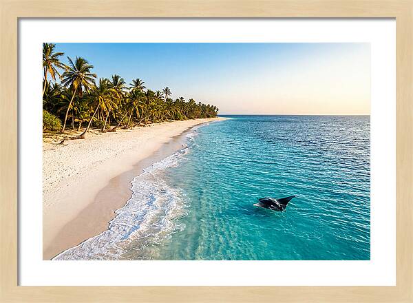 Tofo Beach Serenity