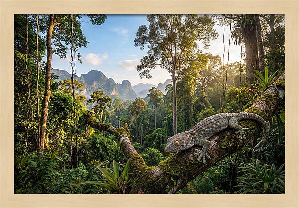 Tokay Gecko In Lush Jungle