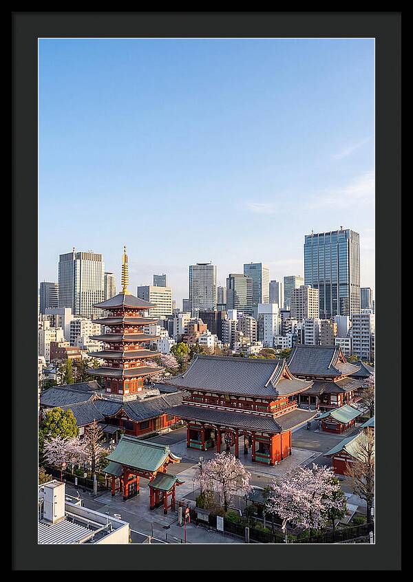 Tokyo Sensoji Temple Serenity