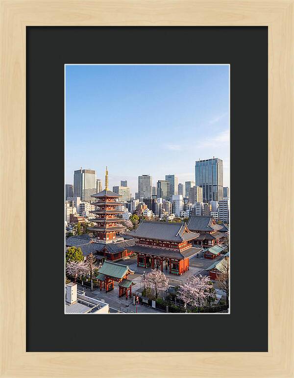 Tokyo Sensoji Temple Serenity