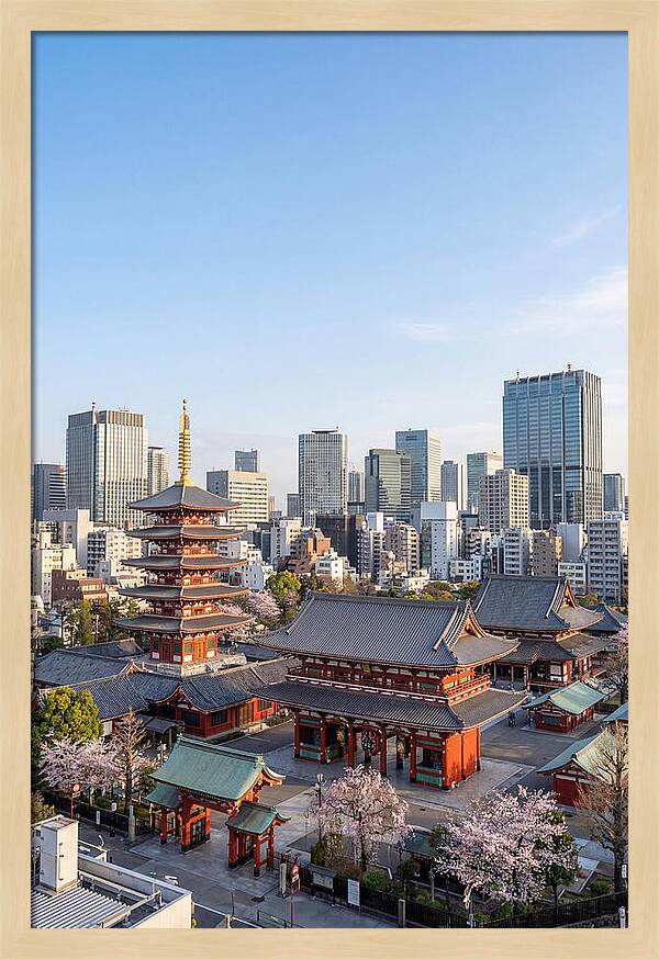 Tokyo Sensoji Temple Serenity