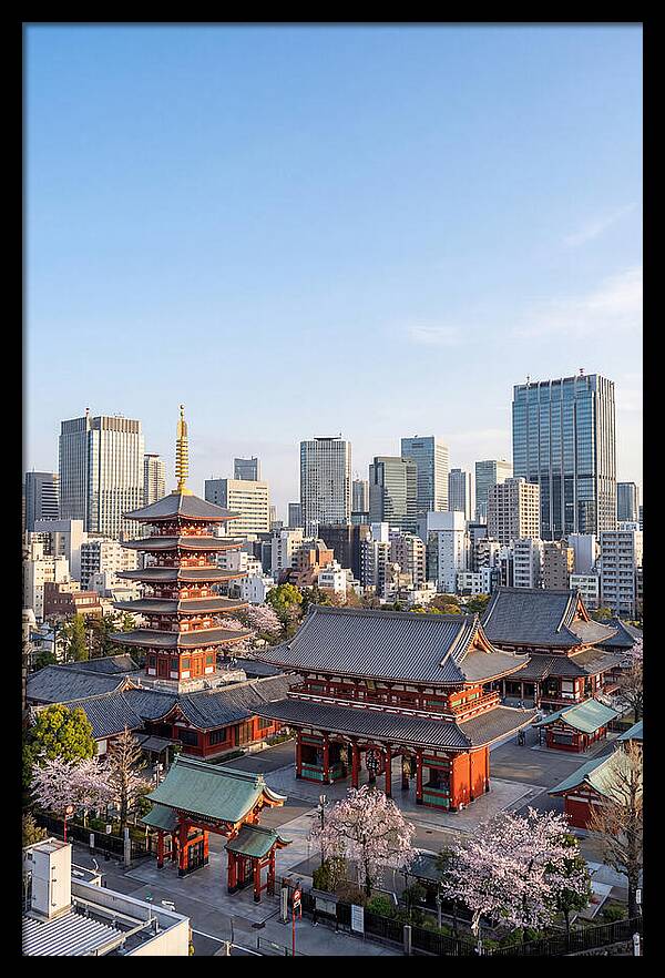 Tokyo Sensoji Temple Serenity