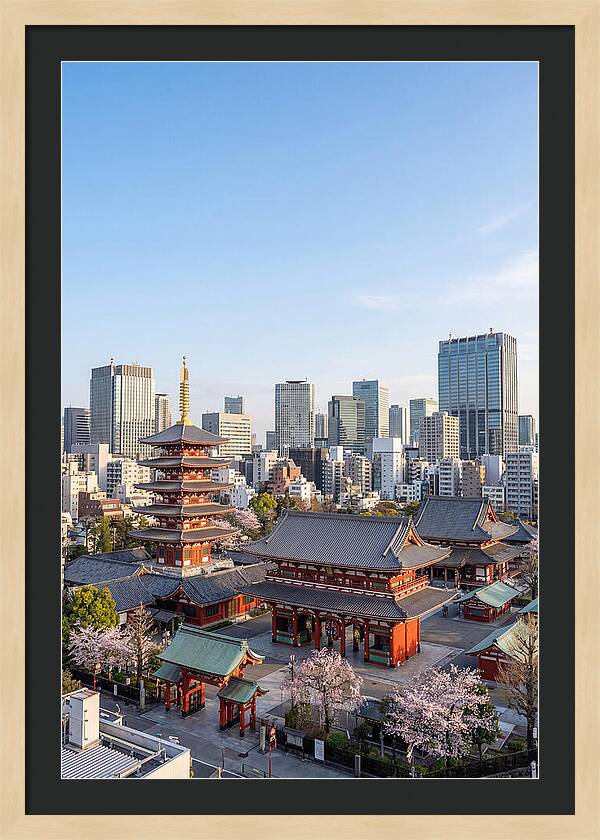 Tokyo Sensoji Temple Serenity