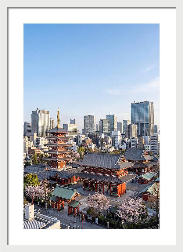Tokyo Sensoji Temple Serenity