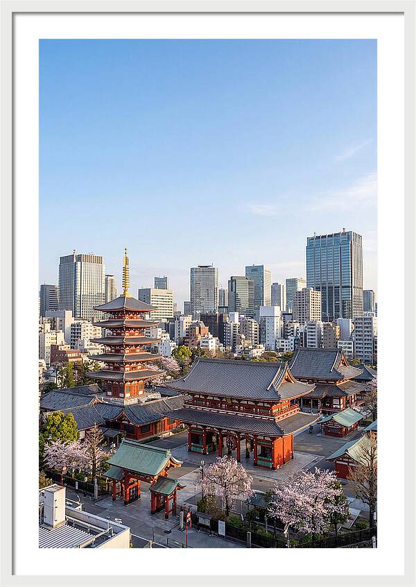 Tokyo Sensoji Temple Serenity
