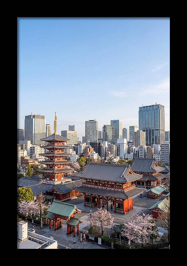 Tokyo Sensoji Temple Serenity