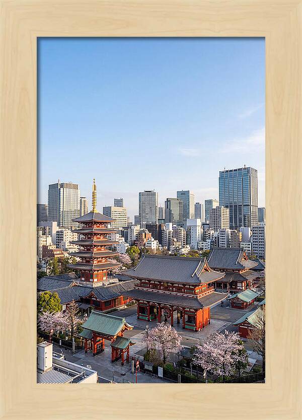 Tokyo Sensoji Temple Serenity