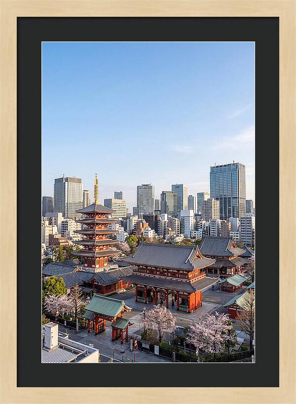 Tokyo Sensoji Temple Serenity