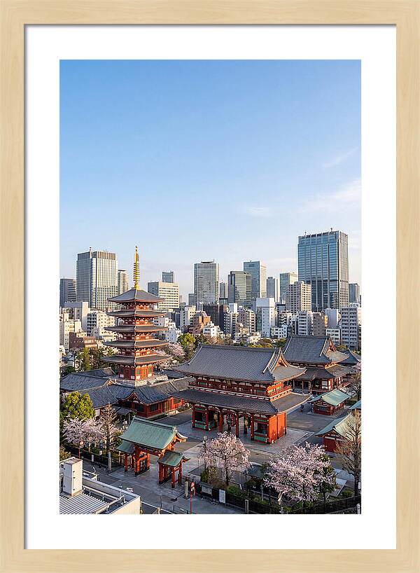 Tokyo Sensoji Temple Serenity