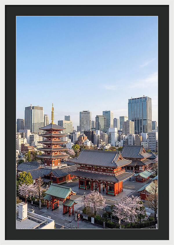 Tokyo Sensoji Temple Serenity