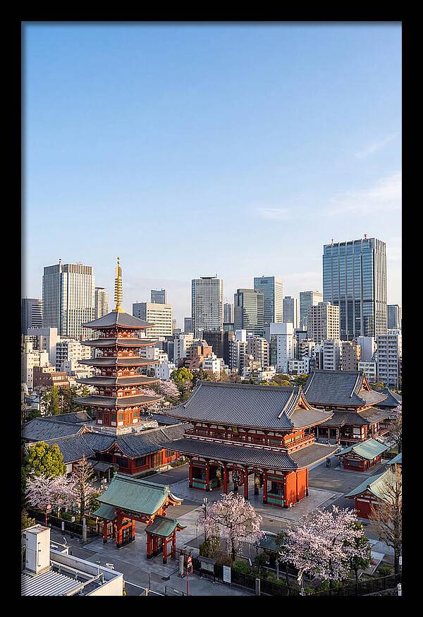 Tokyo Sensoji Temple Serenity
