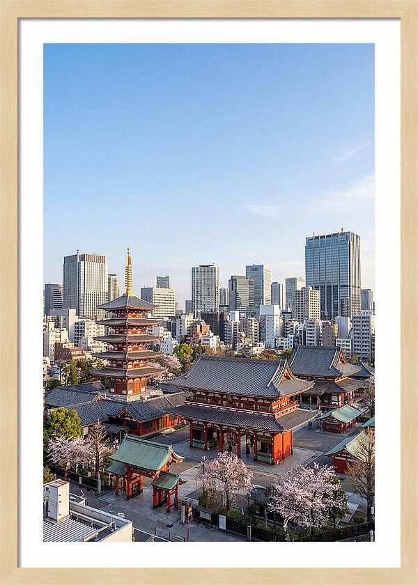 Tokyo Sensoji Temple Serenity
