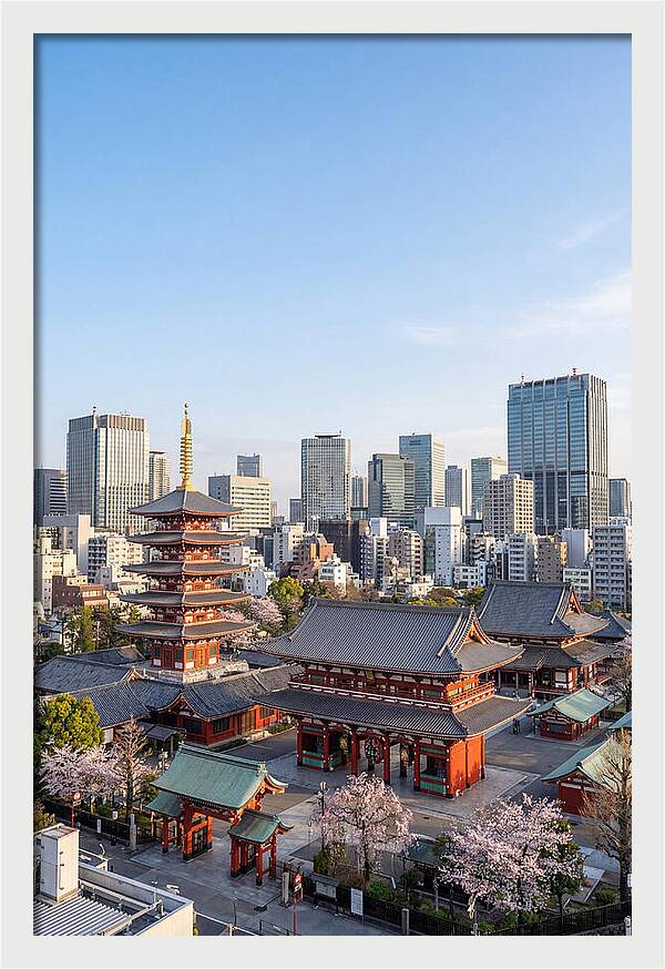 Tokyo Sensoji Temple Serenity