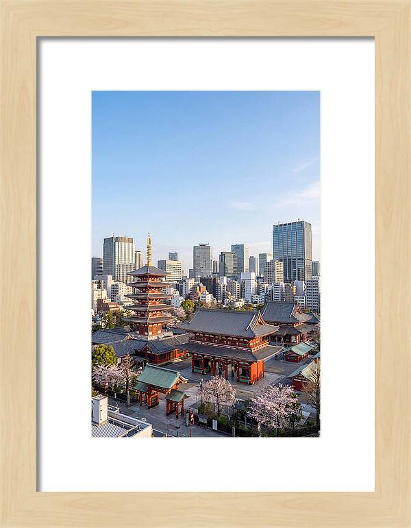 Tokyo Sensoji Temple Serenity