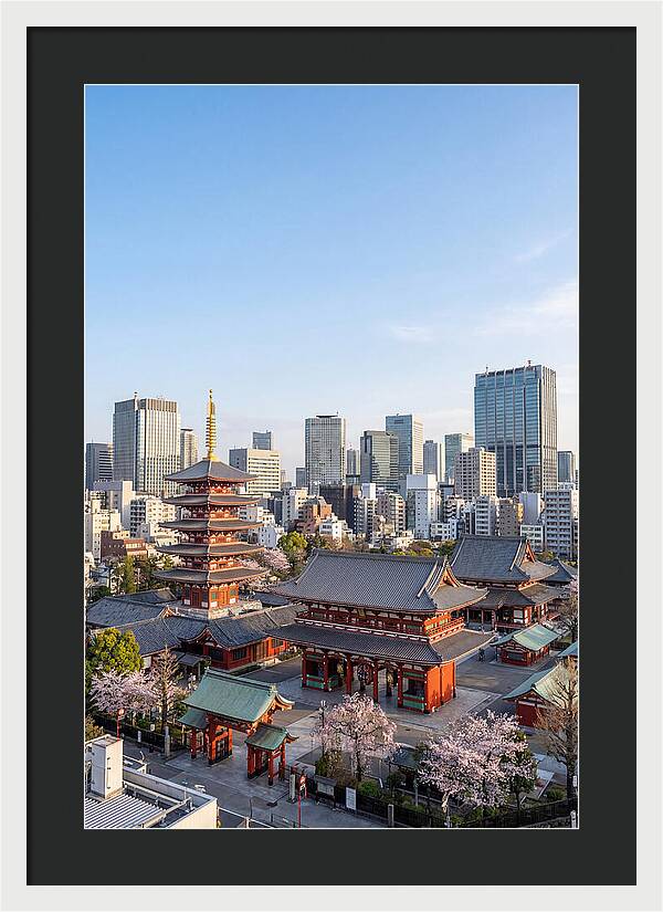 Tokyo Sensoji Temple Serenity