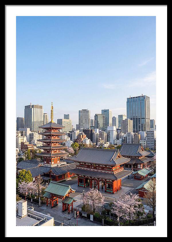 Tokyo Sensoji Temple Serenity