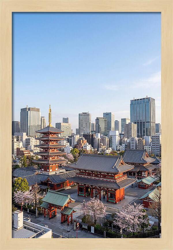 Tokyo Sensoji Temple Serenity