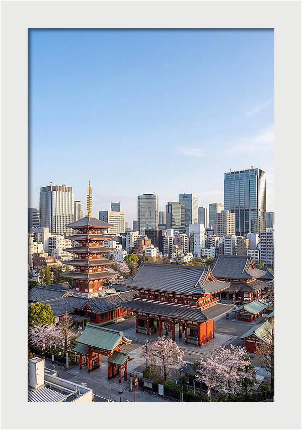 Tokyo Sensoji Temple Serenity