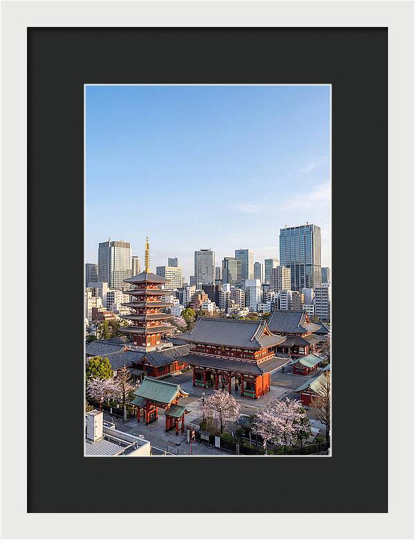 Tokyo Sensoji Temple Serenity