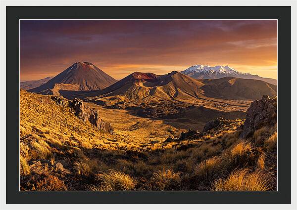 Tongariro Volcanoes At Golden Hour