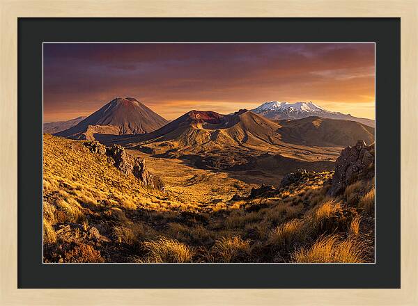 Tongariro Volcanoes At Golden Hour