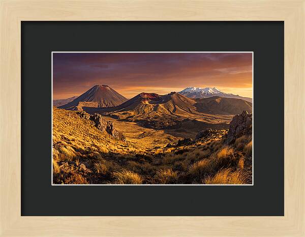 Tongariro Volcanoes At Golden Hour