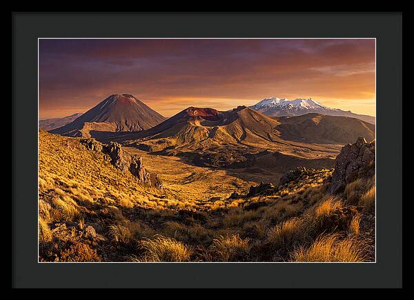 Tongariro Volcanoes At Golden Hour