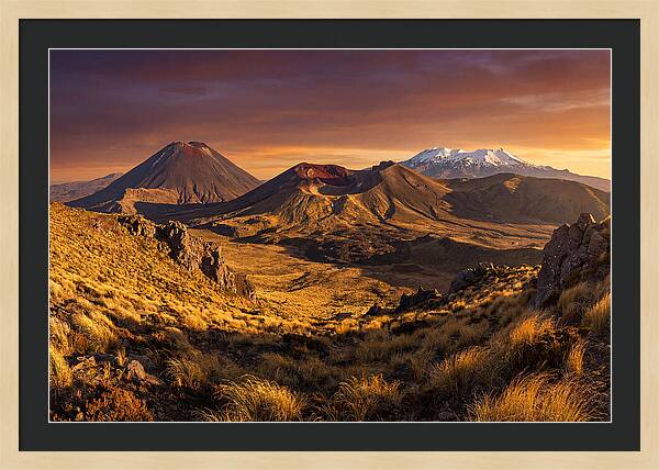 Tongariro Volcanoes At Golden Hour