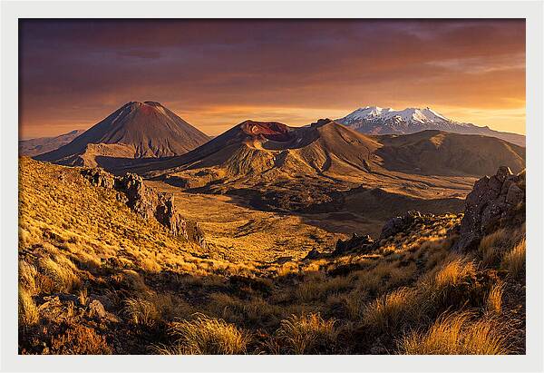 Tongariro Volcanoes At Golden Hour