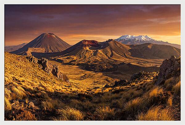 Tongariro Volcanoes At Golden Hour