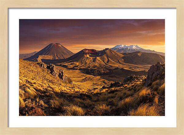 Tongariro Volcanoes At Golden Hour