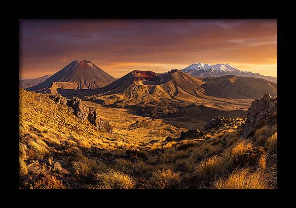 Tongariro Volcanoes At Golden Hour