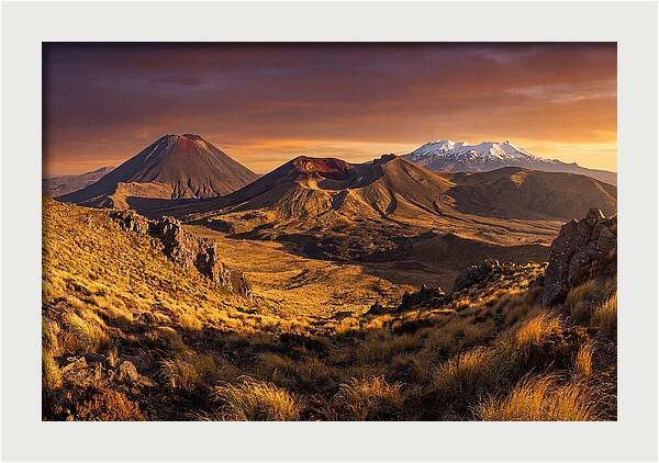 Tongariro Volcanoes At Golden Hour