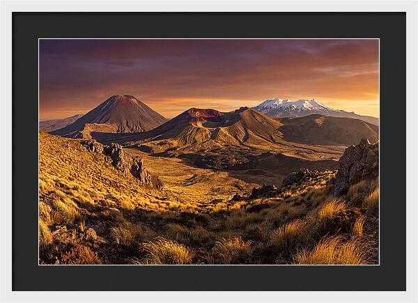 Tongariro Volcanoes At Golden Hour