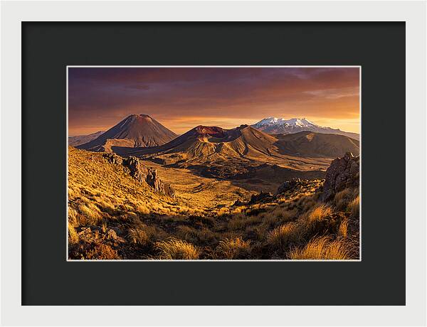 Tongariro Volcanoes At Golden Hour