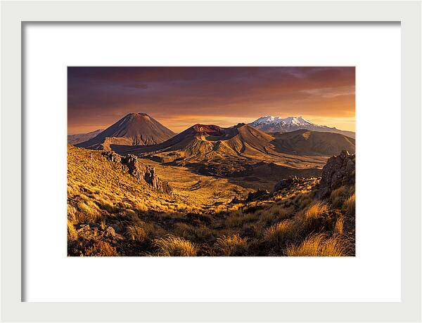 Tongariro Volcanoes At Golden Hour