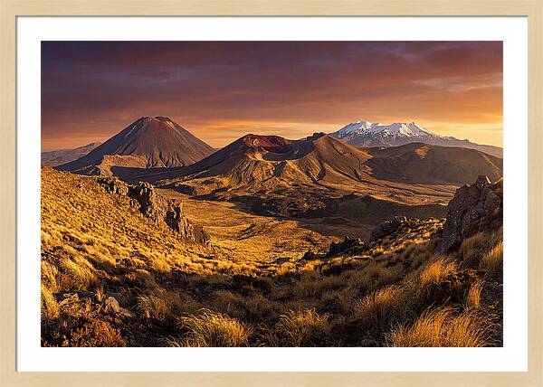 Tongariro Volcanoes At Golden Hour