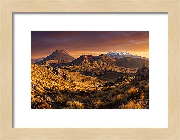 Tongariro Volcanoes At Golden Hour