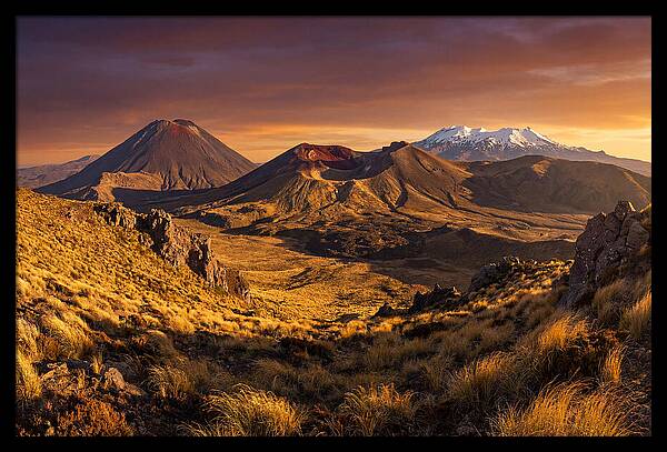 Tongariro Volcanoes At Golden Hour