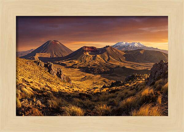 Tongariro Volcanoes At Golden Hour
