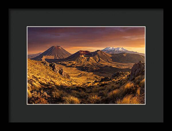 Tongariro Volcanoes At Golden Hour