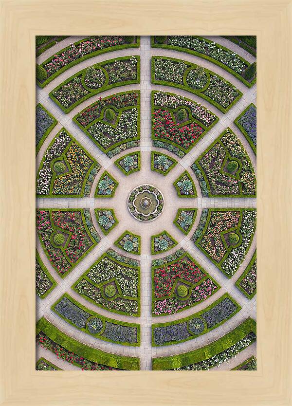 Topdown View Of A Botanical Garden