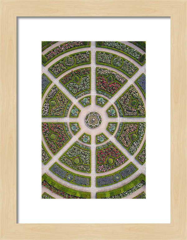 Topdown View Of A Botanical Garden
