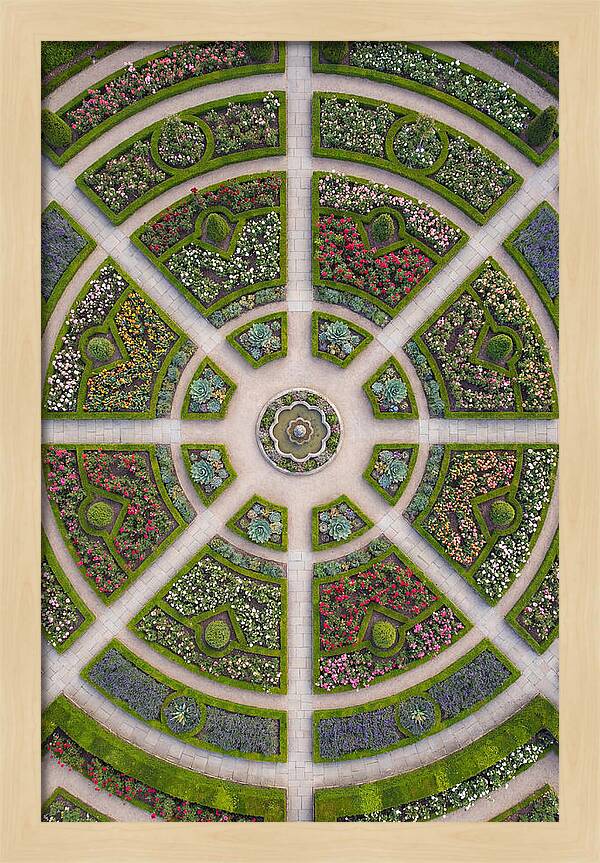 Topdown View Of A Botanical Garden