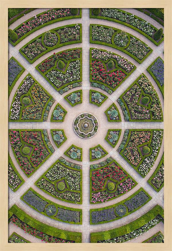 Topdown View Of A Botanical Garden
