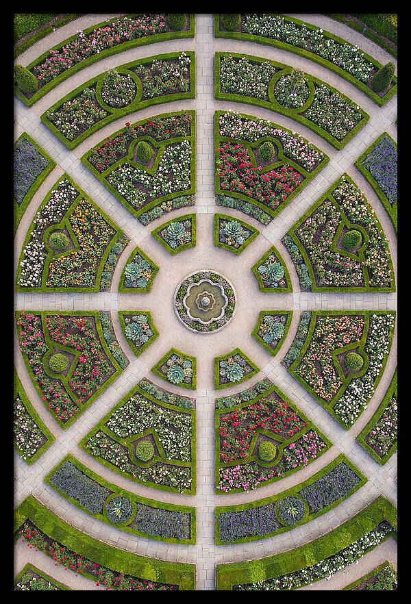 Topdown View Of A Botanical Garden
